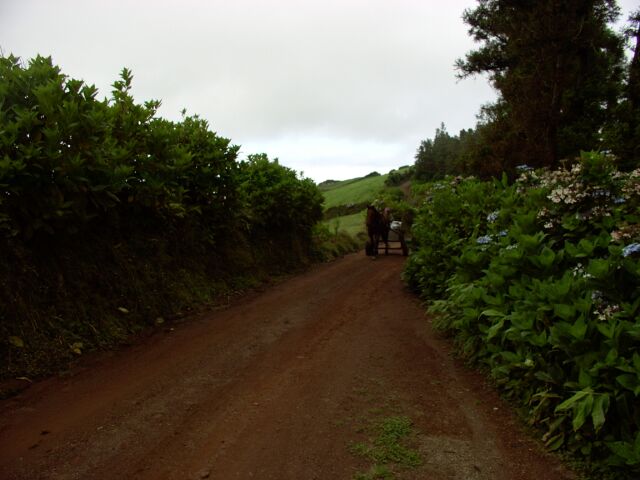2003.08.28_1_0154.jpg