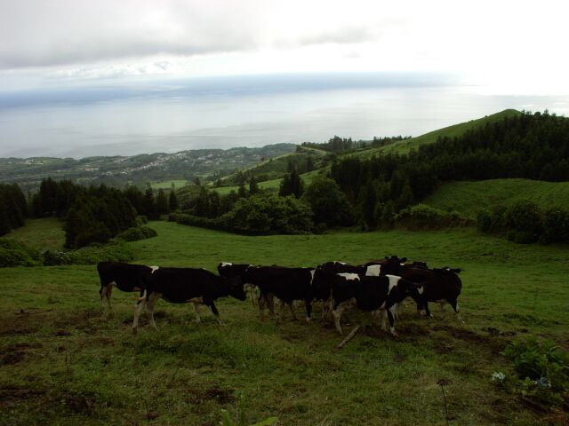 2003.08.28_1_0168.jpg