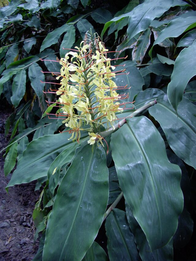 2003.08.28_1_0180.jpg