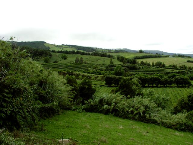 2003.08.28_1_0190.jpg