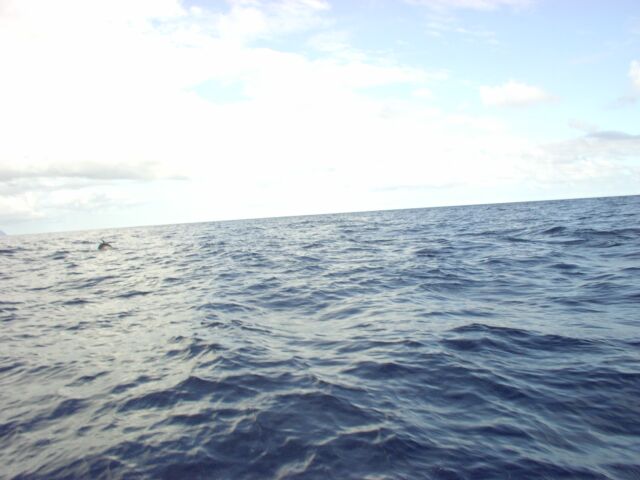 2003.08.28_2_0017.jpg